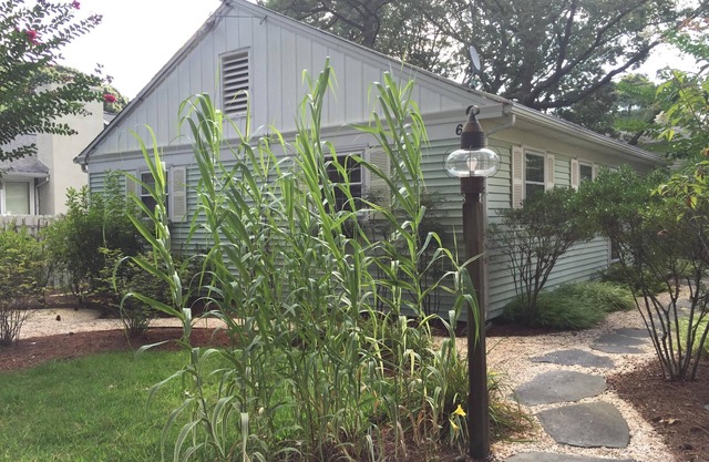 Rehoboth Beach - The Pines - Henlopen Avenue Cottage - 2 blocks to the beach