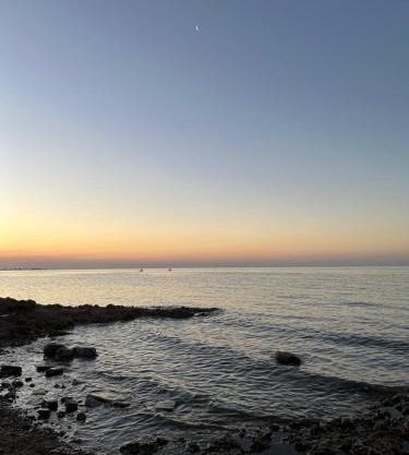 Relax in New Andalucía- Tu refugio costero con pileta