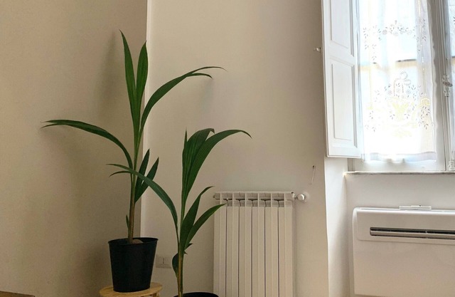 Relaxation and zen in fully equipped 2-bedroom apto at Colosseum