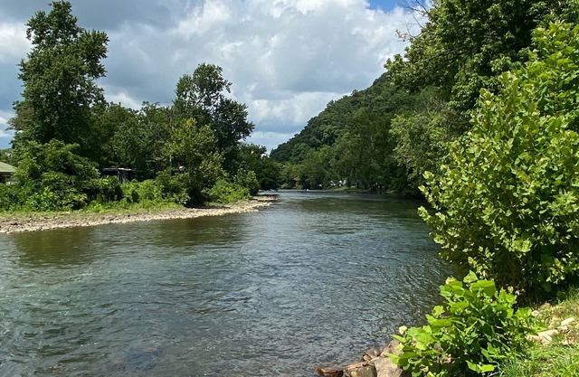 Relaxing waterfront cabin with a loft!
