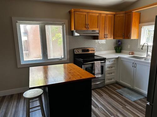 Renovated 2 bdrm apartment in central Hamilton