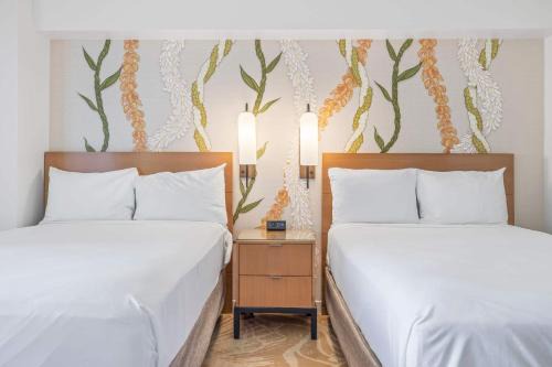 Renovated Stunning Views Condo Hotel 1711