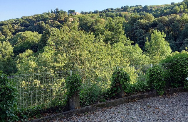 Rental apartment near CERET