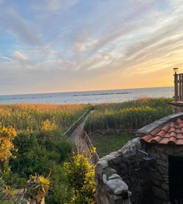 Restart Accommodations Nerone