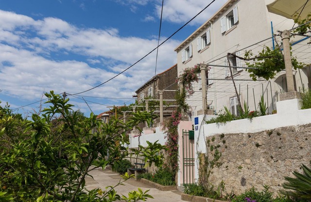 Restful Villa in Dalmatia with Garden