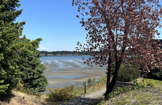 Romantic 2bdrm 2.5bthrm fully equipped townhouse beach access, pet friendly NEW