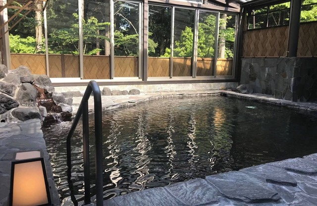 Room only Deluxe Suite 57mPets not allowedVS /Suntogun Shizuoka