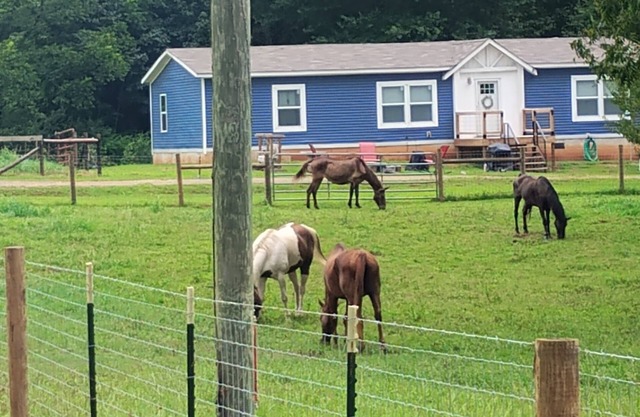 Roomy 3-bedroom horse ranchette with hiking/biking trails. Noccalula & Gadsden