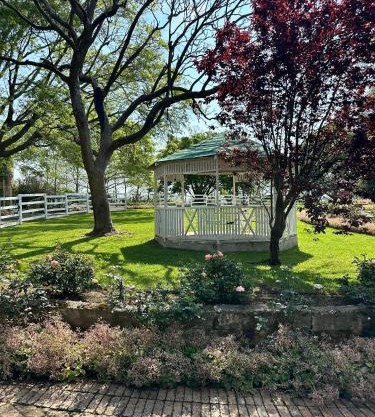 Rose Cottage, Elgin Grabouw