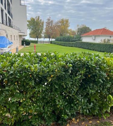 Royal Apartman am See