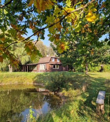 Sauna House in the forest