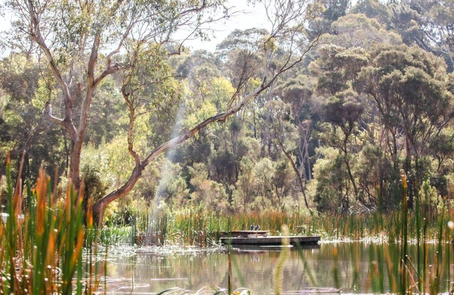 Scribbleswood in the heart of Red Hill.