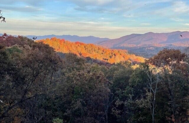 'See The View' Times 2