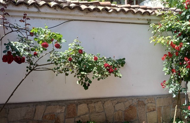 Serenity and cozines in the heart of the Old Town of Plovdiv historical reserve