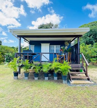 Sharnytas Studio AIR CONDITIONED