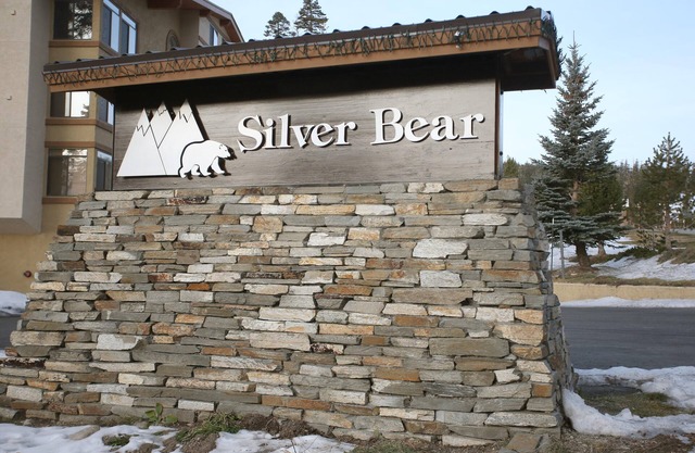 Silver Bear 36