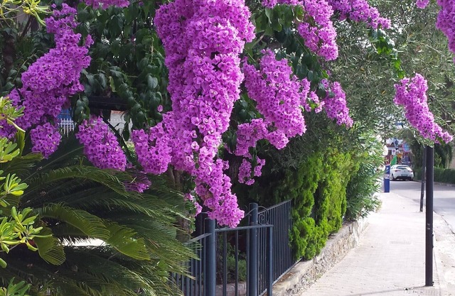 Small villa with garden, parking space, private access to the sea 4 + 2 beds