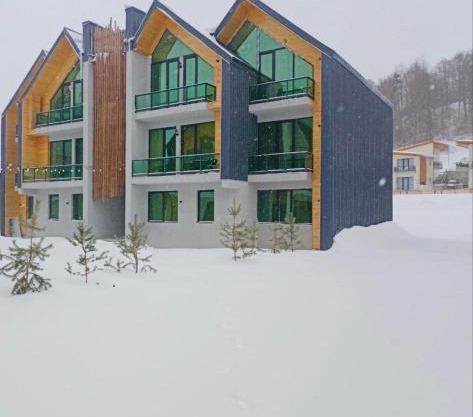 snow forest bakuriani apartment eight