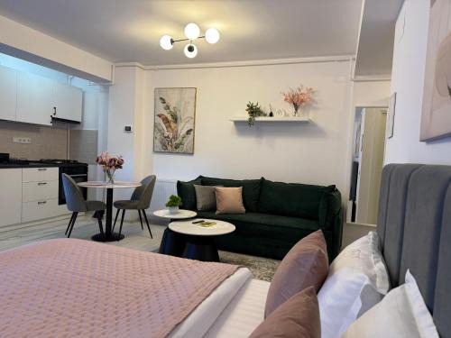 Sofia Residence - Otopeni Airport & Therme I Libertatii Gardens - free pool facilities