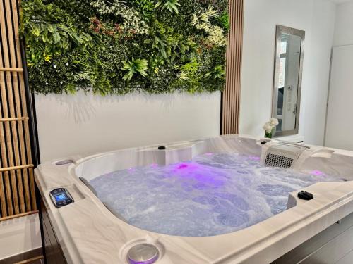 spa jacuzzi Val d'oise Paris