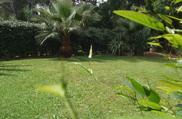 Spacious apartment 6 people, comfortable, 800m from the port and beaches.