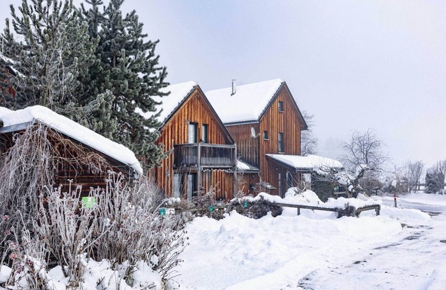 Spacious chalet near the ski area