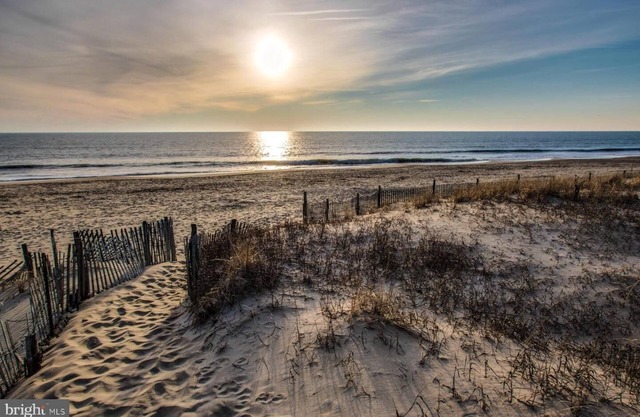 Spacious Home-Steps Away From Quiet Beach-Nature and Wildlife-Pet Friendly!