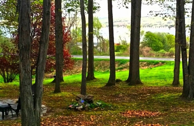 Spacious Log Home Overlooking Canandaigua Lake! Pet Friendly!