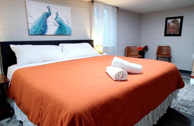 Spacious Suite Close to Downtown Indy/King Bed