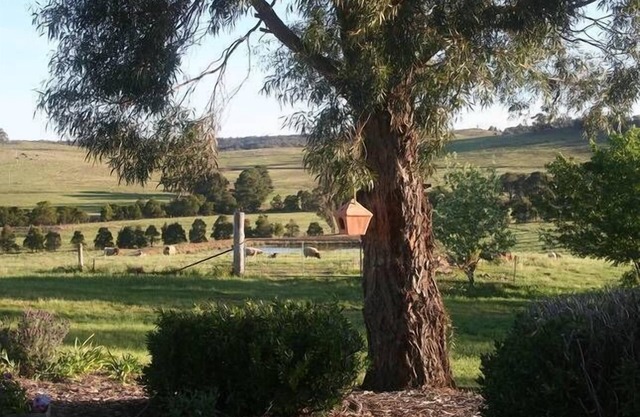 SPECIAL $240/n first 3 persons at ROLLING HILLS FARMSTAY at Big Hill, sleeps 16