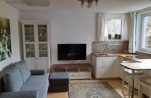 Specially equipped mini-apartment