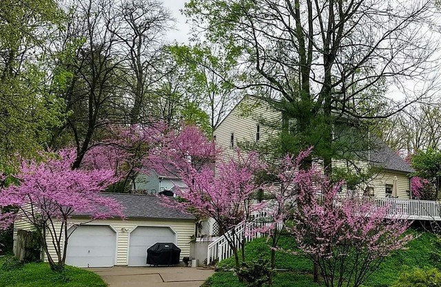 Spectacular Historic Home In The Heart Of It All!