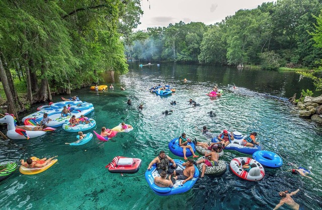 Springs Country Cabin on 2 acres