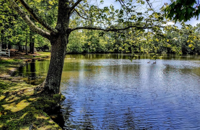 Stockbridge Lakes Bed & Breakfast