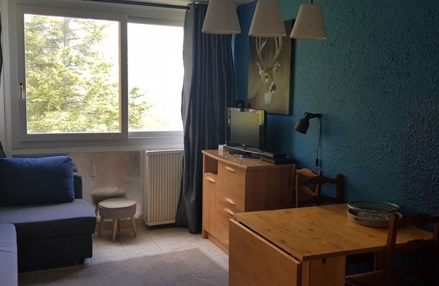 Studio 4 à 5 Couchages au Cœur de la Station à 5min de Barcelonette