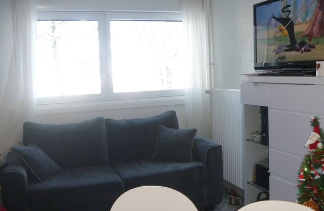 STUDIO cabin 33m2 at the foot of the slopes and shops