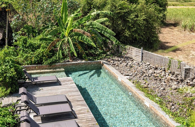 Stunning panorama of the sugarcane fields and the hills of Basse-Terre