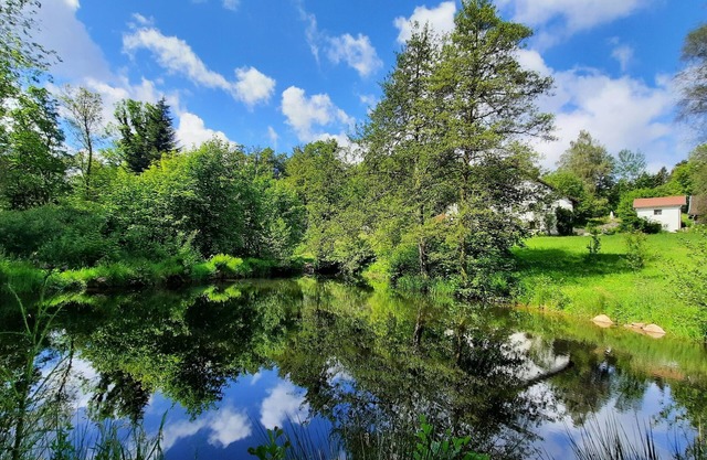 Stylish vacation apartment in enchanting natural surroundings with swimming pond