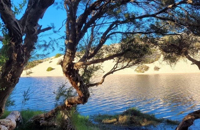 Sunsets Forever Moore - Splendid Ocean Views - Pet friendly - easy walk to Ocean