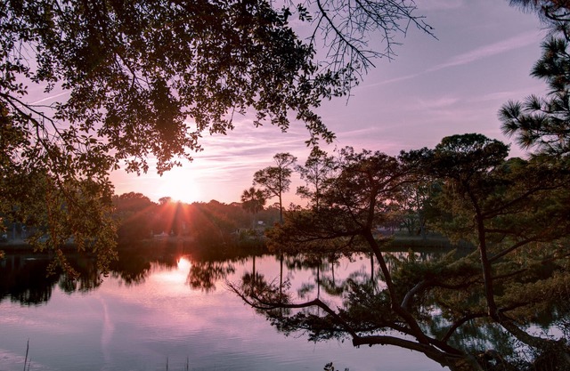 SunsetShack Folly Beach House on Pond -PET FRIENDLY-1 Block to beach