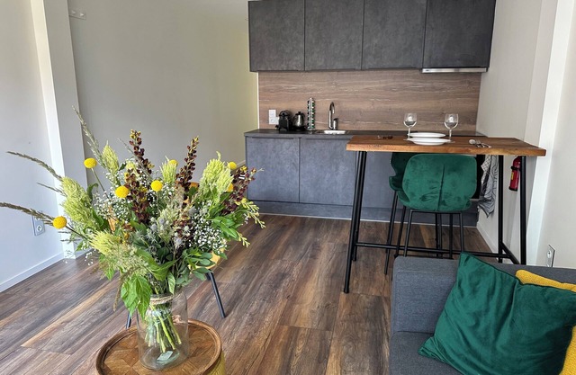 Sunshine Suite at the Griftpark. 5 Minutes Walk From the City Centre