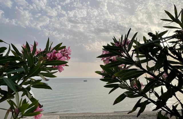 Sweet dreams at the seaside