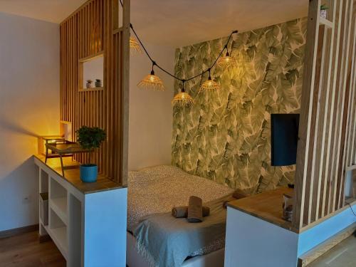 T1 cosy tout équipé, proche Airbus aéroport