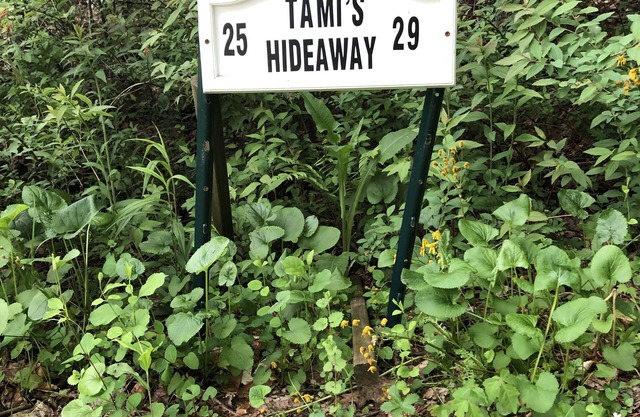 Tami's Hideaway - Nature and Comfort at this Private Asheville Getaway