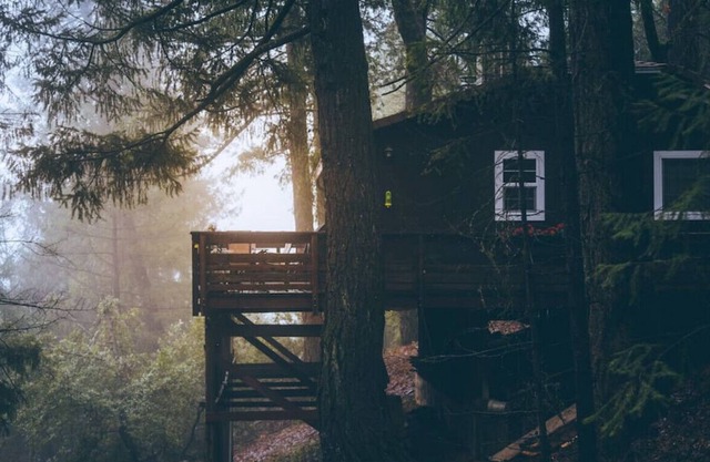 Tawny Owl Cottage · Tawny Owl Cottage - Cozy Cabin Retreat with a View