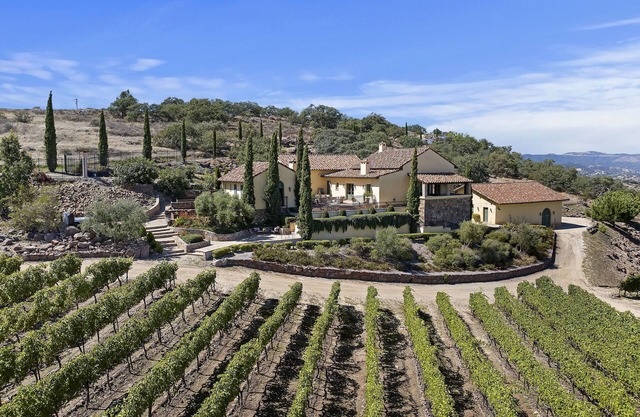 Temecula Valley Wine Country Area - European Villa on 20 Acre Vineyard