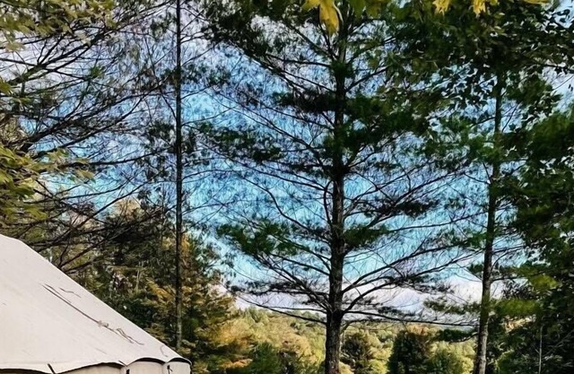 Tentrr Signature Site - Piney Pond Retreat at Tuckaway Tree Farm