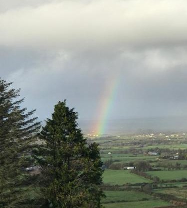 The Collins,Our View from The Top