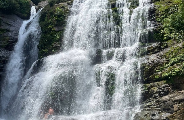 The Diamond Suite with 360 Degree Ocean, Jungle/Mountain Views!