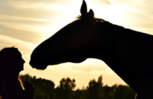 The Dutchy is a Dutch Barn Conversion